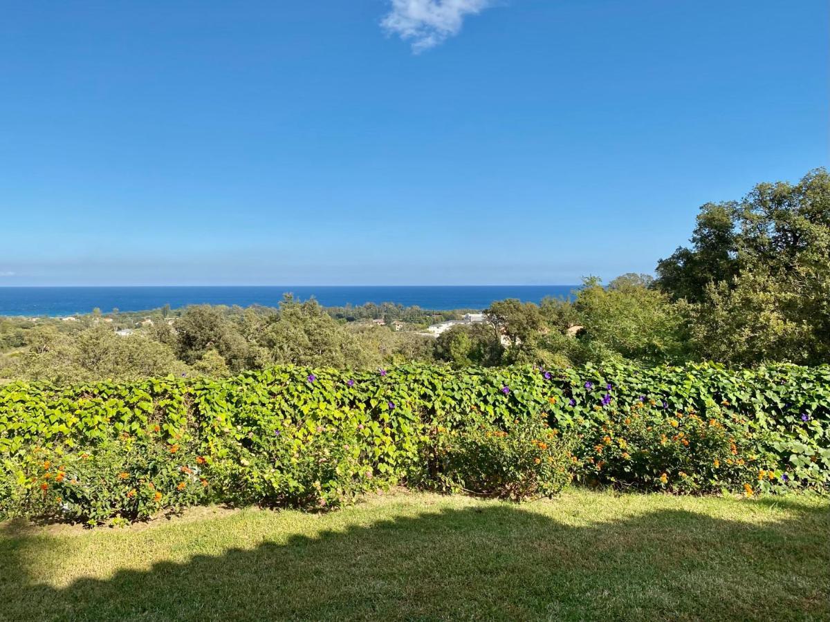 Domaine Punta Della Guardia Villa Panorama Maquis Et Mer, Plage A 1,5 Km Cervione Buitenkant foto