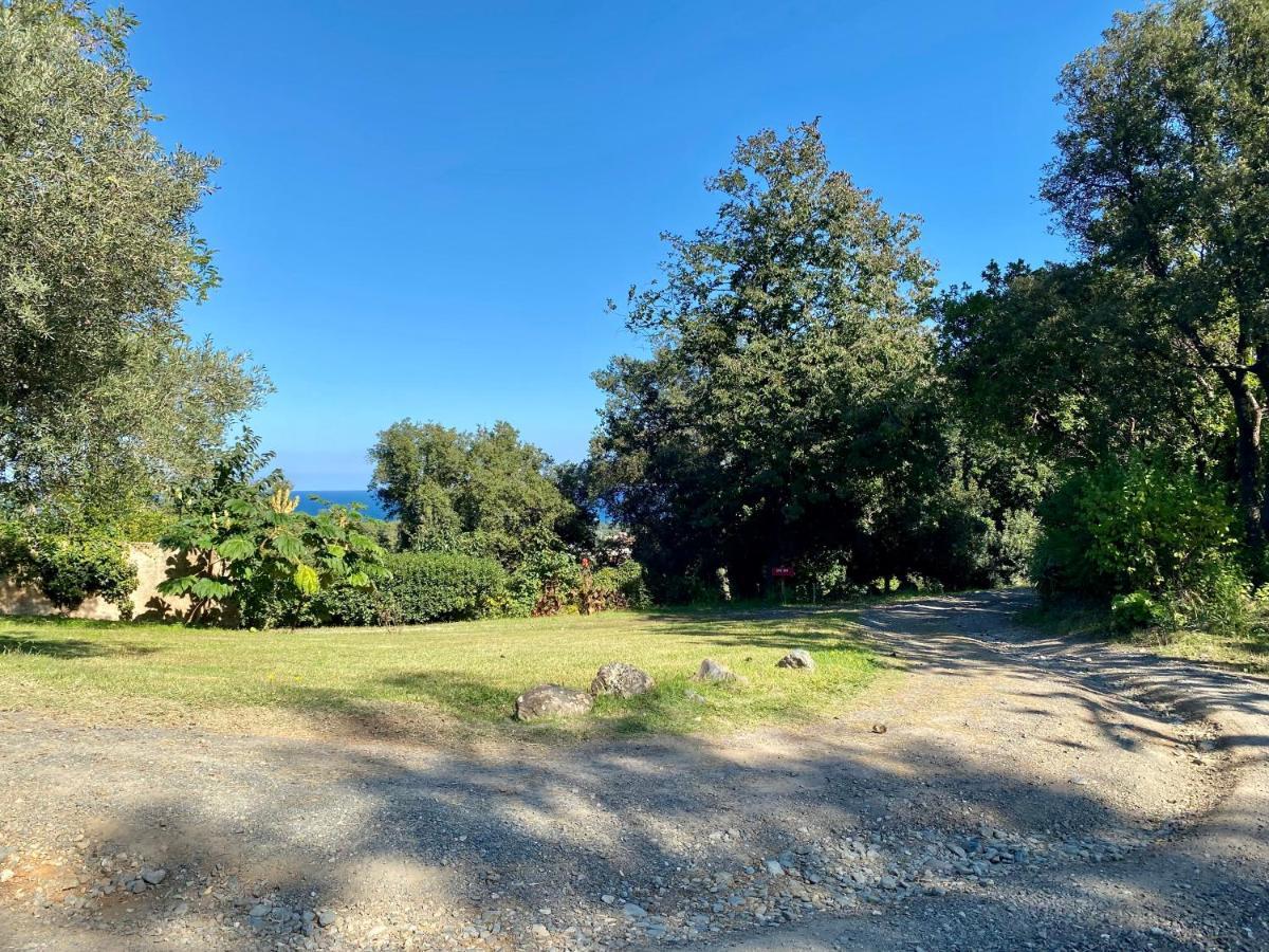 Domaine Punta Della Guardia Villa Panorama Maquis Et Mer, Plage A 1,5 Km Cervione Buitenkant foto